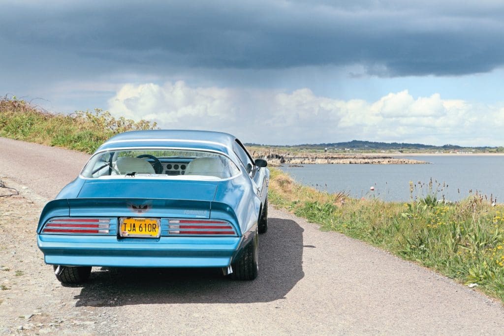 Pontiac Firebird from back